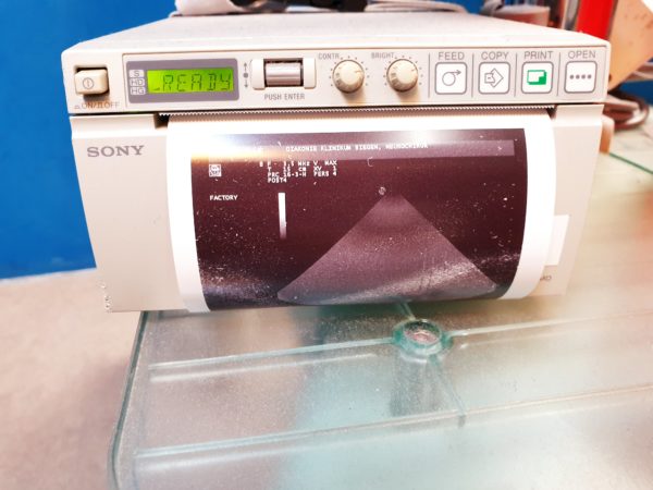 Esaote PA230E Phased Array 1-4 MHz  Kardio – Bild 2