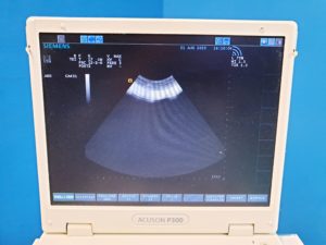 Siemens CA431 Ultraschallsonde