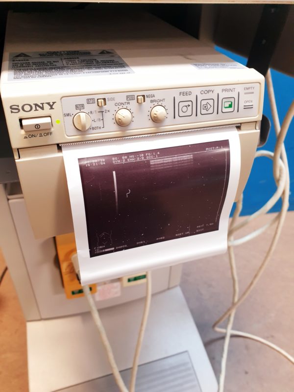 Hitachi EUP-L33 Linear Sonde Probe – Bild 5