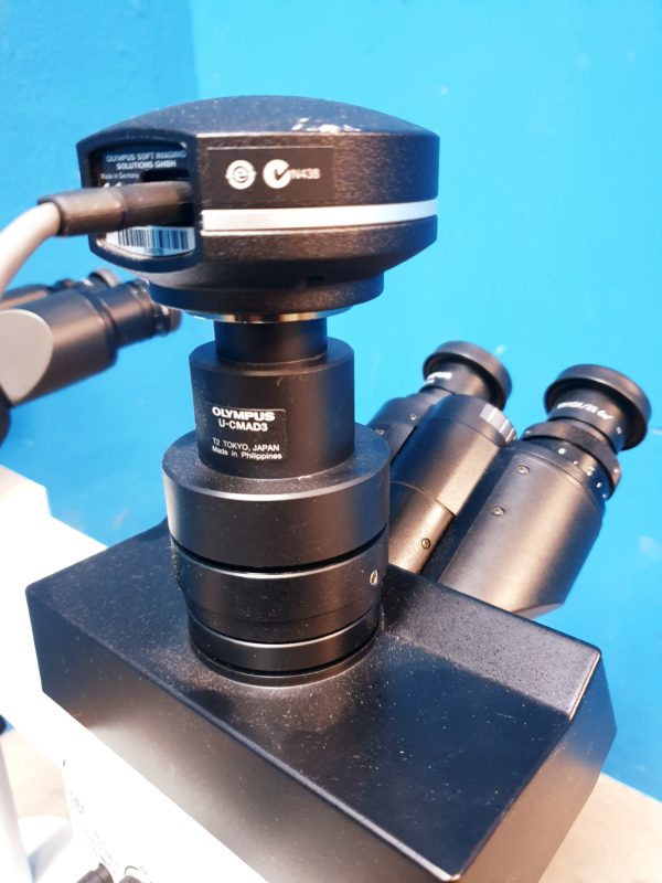 Olympus BX40 Mikroskop Dual, Mikroskop – Bild 13