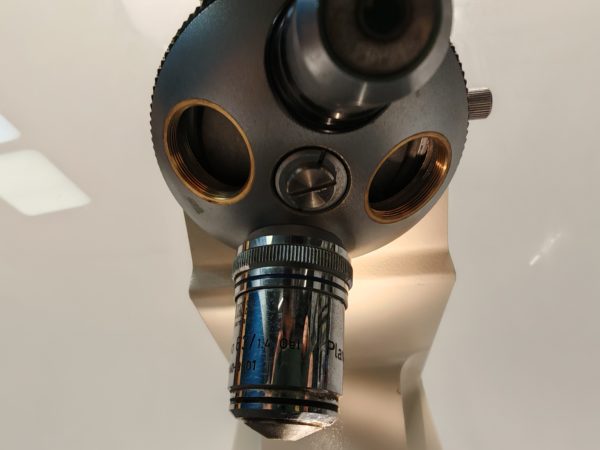 Zeiss Axiostar Plus Binokular-Lichtmikroskop – Bild 11