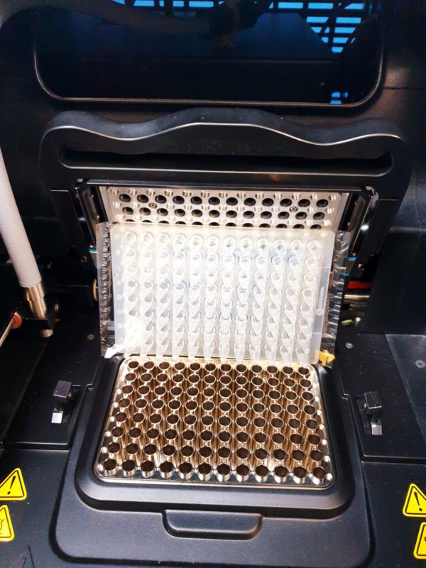 Siemens Versant kpcr 06635872 molecular system AD – Bild 15