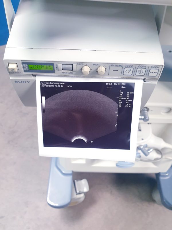 GE Logiq P5 – 4D3C-L + E8C 3D  4D Ultraschallgerät – Bild 18