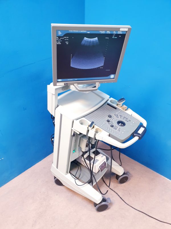 BK MEDICAL Pro Focus 2202 + 8811 Linear + 8820e Konvex Sonde – Bild 13