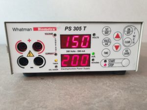 WHATMAN PS 305 T - PS305T  Elektrophorese