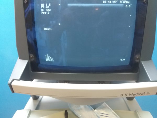 BK Medical 2101 Falcon Ultrasound mit Konvex, Linear und Printer