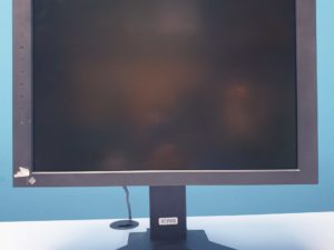 EIZO GS 220 // GS220 Medical LCD Monitor medizinischer Bildschirm