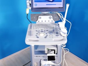 GE Logiq P6 Powered by Voluson Gynäkologie mit 3D/4D Sonde Linear, Endovaginal + Printer