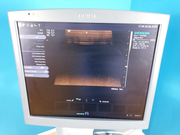 Siemens Acuson S2000 Ultraschall 4C1 9L4 14L5 Sonden Transducer DOM2009