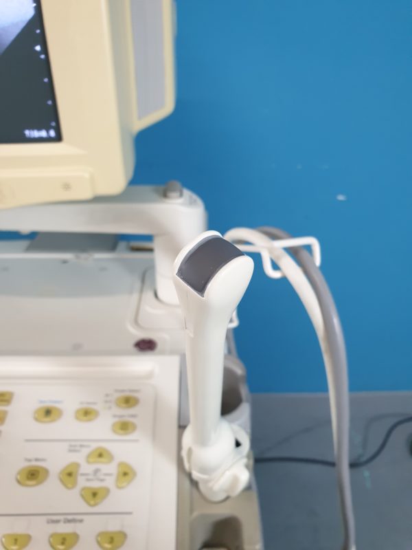 GE Logiq 400 Pro Farbdoppler mit Konvex und Endovaginal