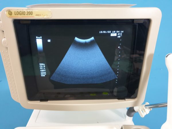 Ultraschallgerät GE LOGIQ 200 Pro mit Konvex und Endovaginal