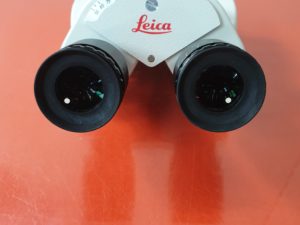 Leica Microscope Head Type 10448088 with 2 x Leica Eyepieces 10448028
