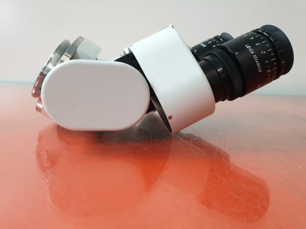 Leica Microscope Head Type 10448088 with 2 x Leica Eyepieces 10448028