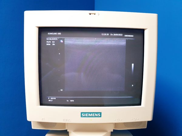 Siemens G50 // G 50  MIT C5-2 Konvex +  7.5L70 Linear   + BE09-4  Endovaginal + Printer - Farbdoppler