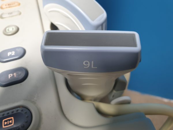 GE Logiq P6 BT11 View   mit 3Sp Echosonde und 9L Linear Sonde und Konvex 4C   DOM 2009