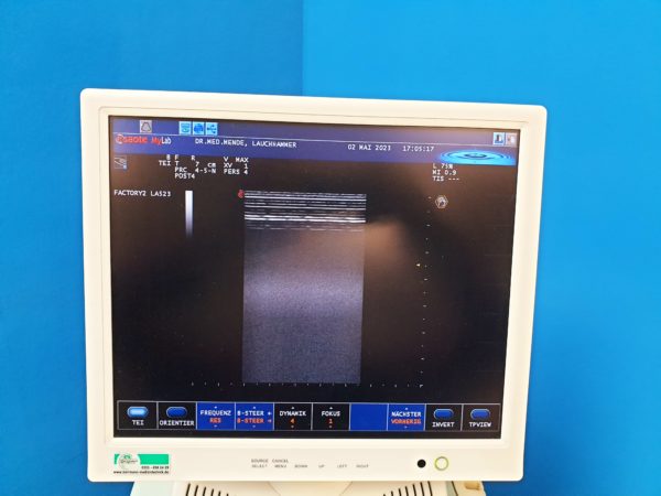 Esaote Mylab 40 + CA631 +  LA523 + Stiftsonde   DOM 2010