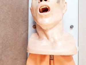 Laerdal Atemwegsmanagement Trainer