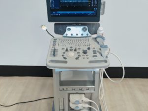 GE LOGIQ P6 Pro  4C KONVEX  9L Linear  DOM 2010