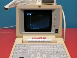 GE Logiq Alpha 100 mit Konvex und Endovaginale Sonde